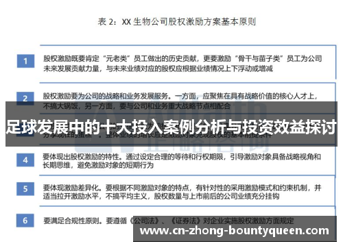 足球发展中的十大投入案例分析与投资效益探讨 足球发展中的十大投入案例分析与投资效益探讨